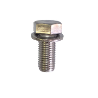 M16 x 35 Setscrew & Washer