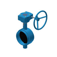 80mmGearedRolledGrooveB/FValve